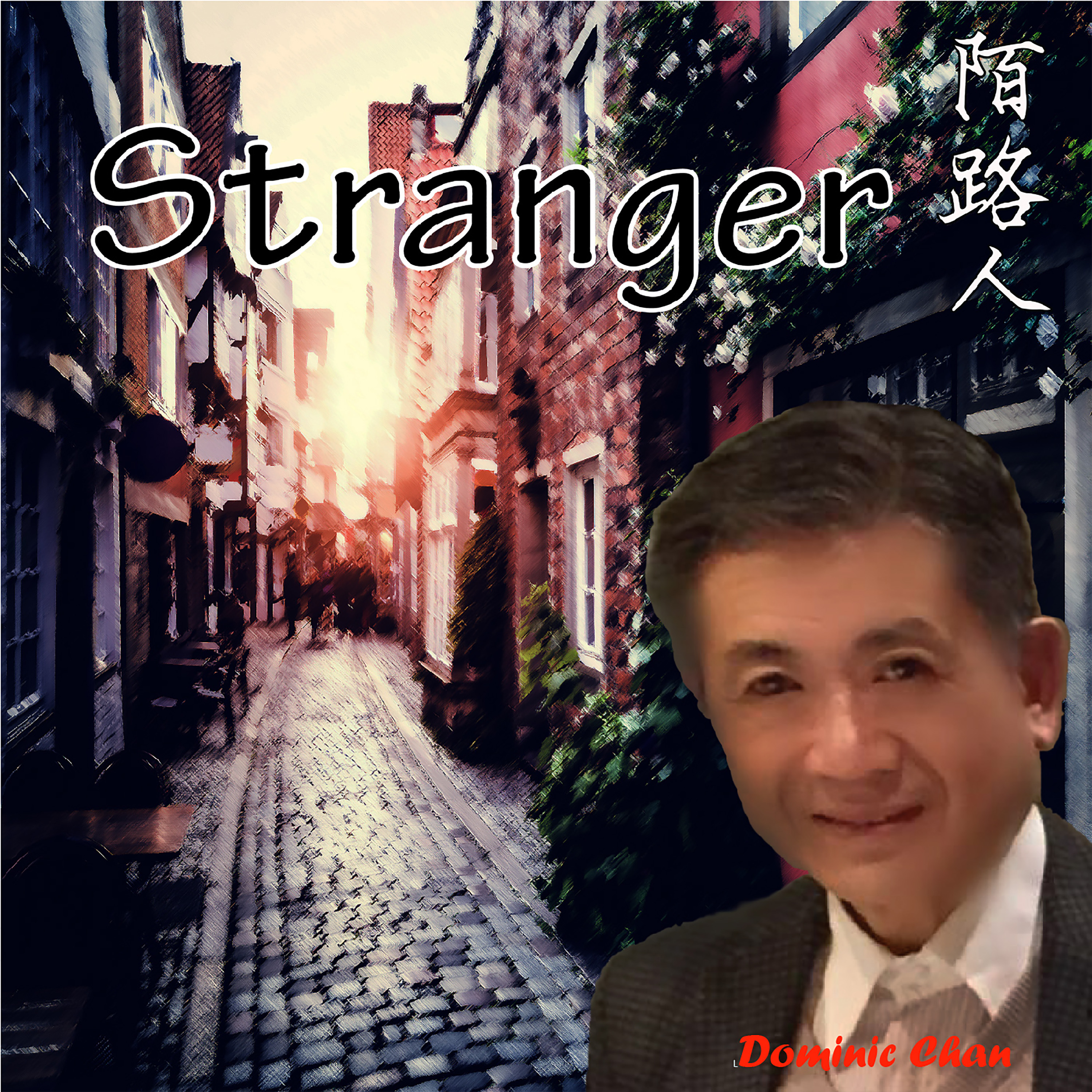 Stranger - Dominic Chan (with vocal)